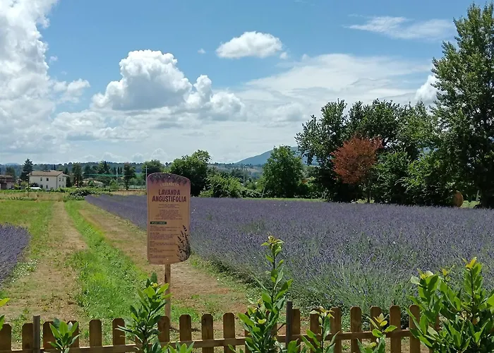 Villa L'Antico Fienile Montefalco